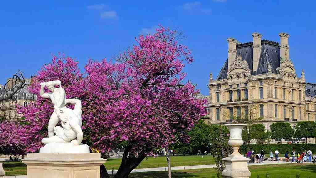 Tuileries Garden Near the Louvre